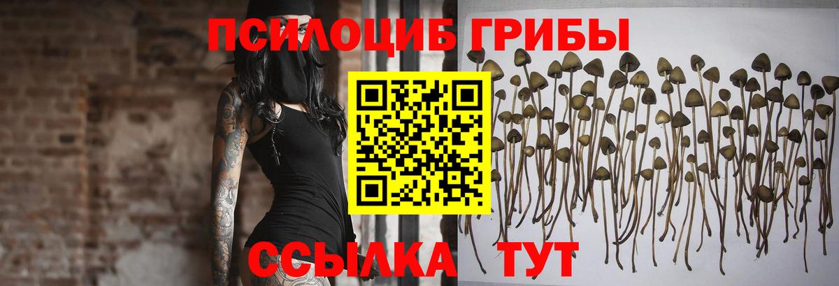 Псилоцибиновые грибы ЛСД Ангарск